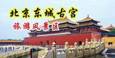 啊肏骚穴喷水湿了视频无码H中国北京-东城古宫旅游风景区